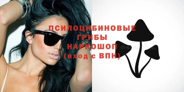 шишки Сафоново