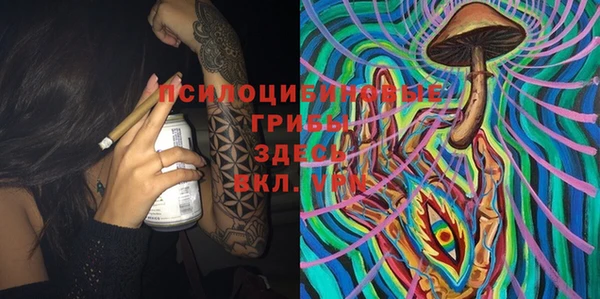 соль ск Сатка