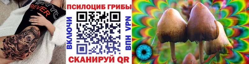 Купить закладки Улан-Удэ Псилоцибиновые грибы ЛСД